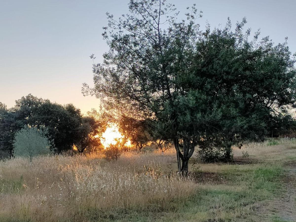 La Codosera Casa Rural Camino Del Alentejo 빌라 외부 사진