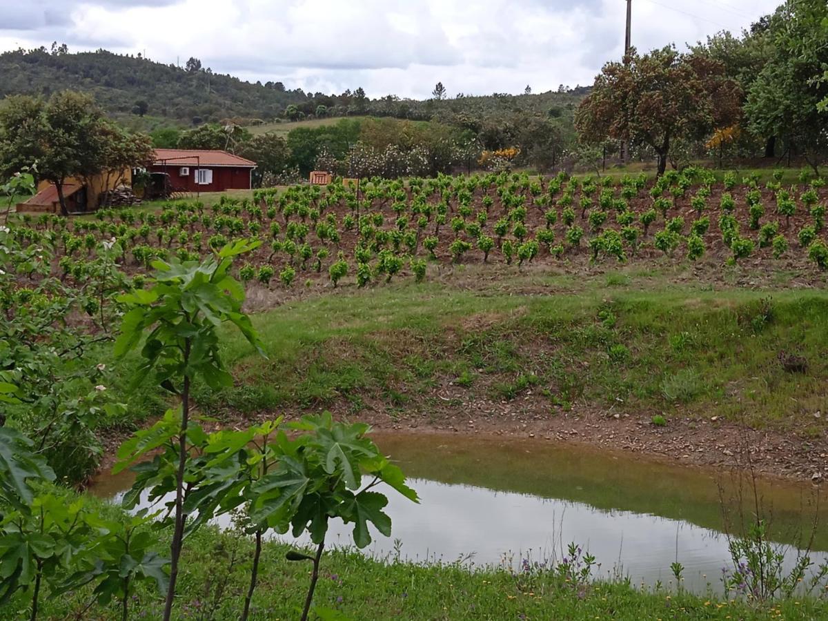 La Codosera Casa Rural Camino Del Alentejo 빌라 외부 사진