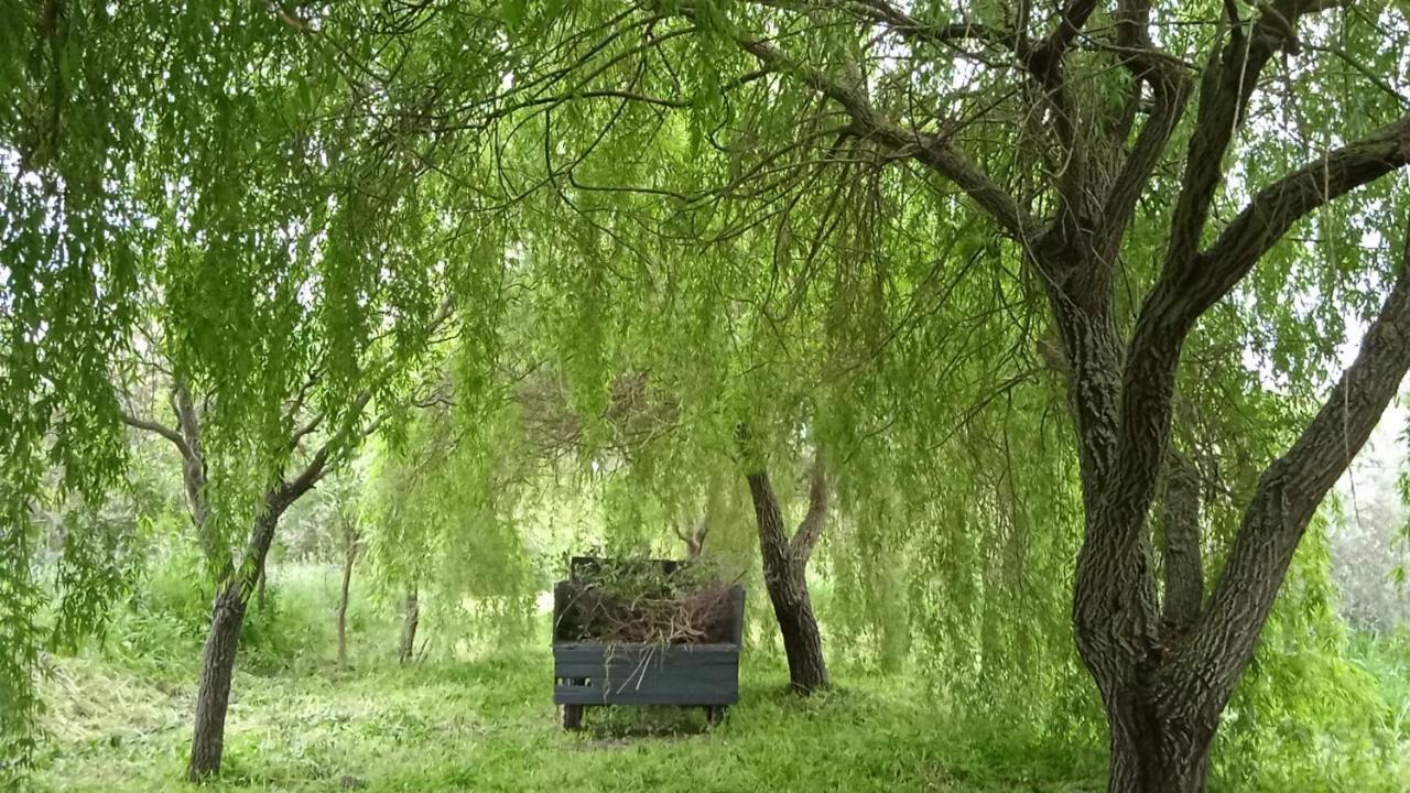La Codosera Casa Rural Camino Del Alentejo 빌라 외부 사진