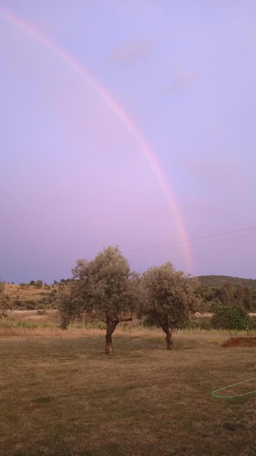 La Codosera Casa Rural Camino Del Alentejo 빌라 외부 사진
