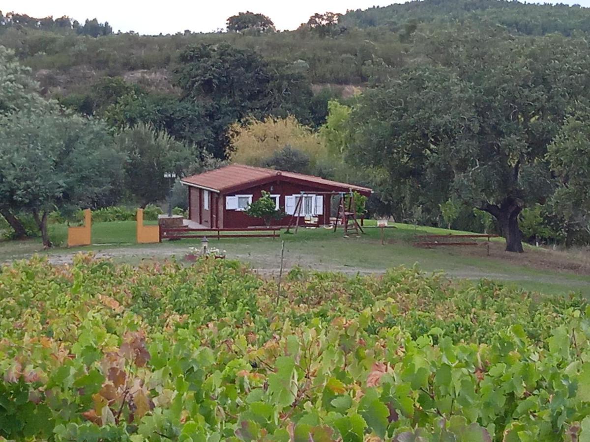 La Codosera Casa Rural Camino Del Alentejo 빌라 외부 사진